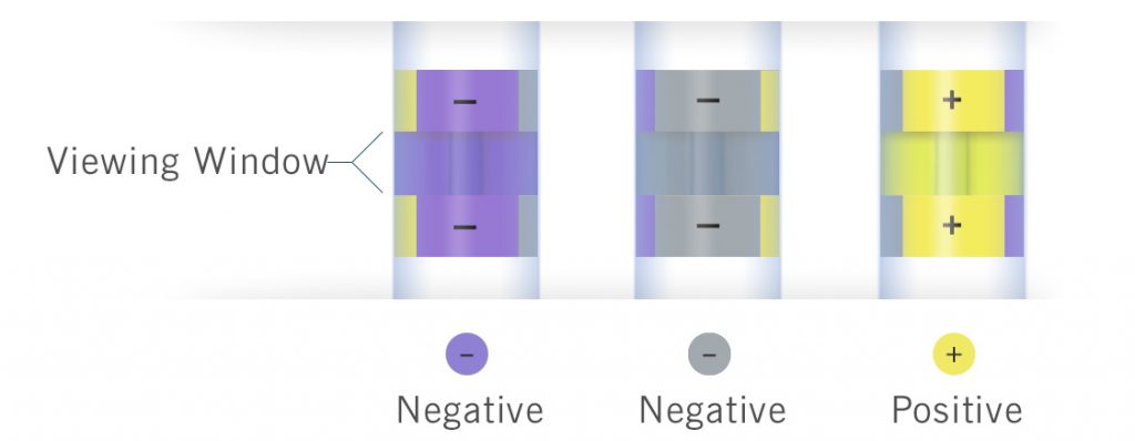 TEST COLORIMETRICO PER SALMONELLA - immagine 2