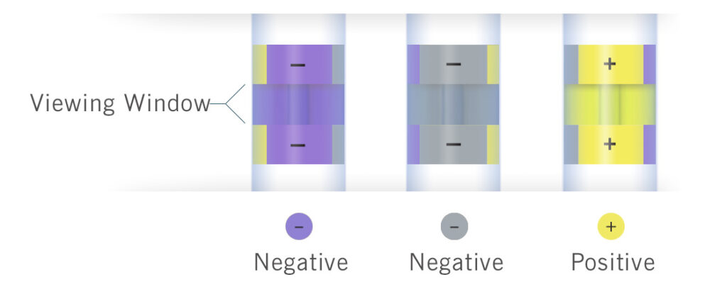 TEST COLORIMETRICO PER SALMONELLA - immagine 8