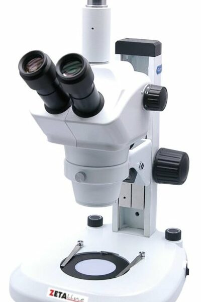 Microscopi Stereo